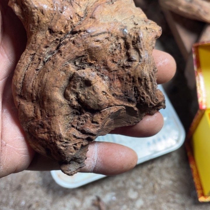 海南黄花梨连连连