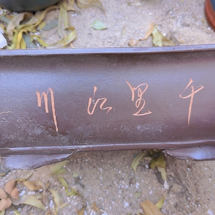 紫砂32棕色马槽花盆花哦花哦