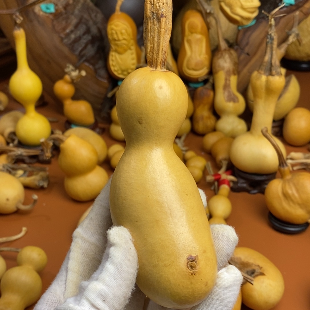 9***熊途径教练呀哭路途