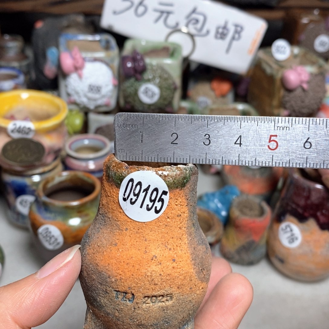 拍3送一个小礼物