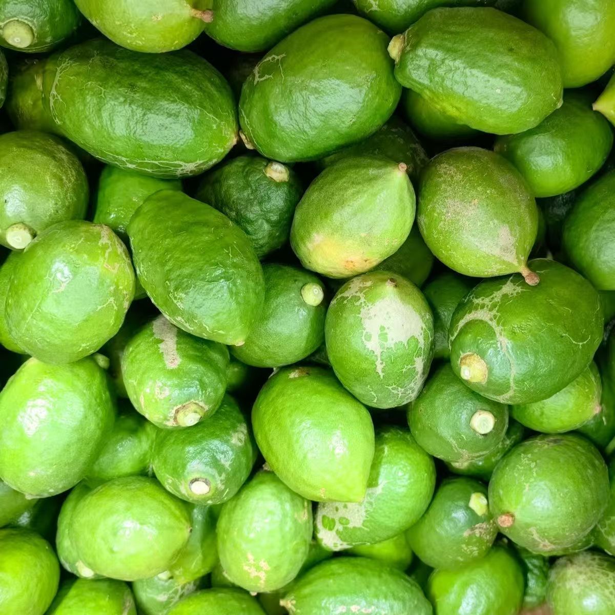 广东正宗香水柠檬 花皮果二级 香柠新鲜采摘 果茶专用