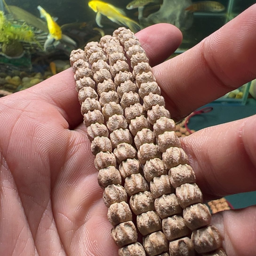 柏香籽/百香籽吊坠阿*A9