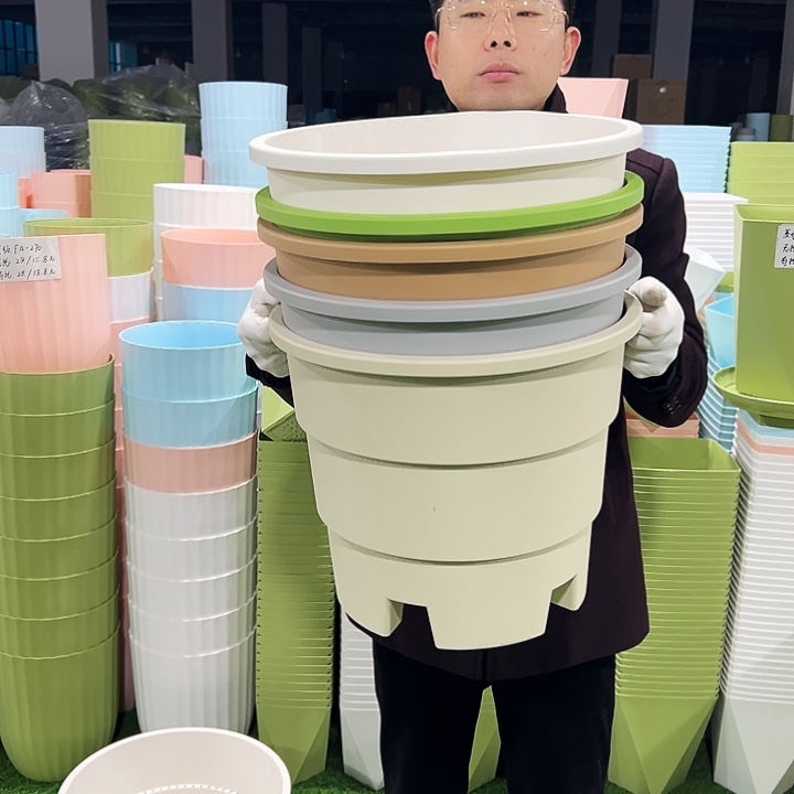 正品蓝莓盆口39高33白色3只无托