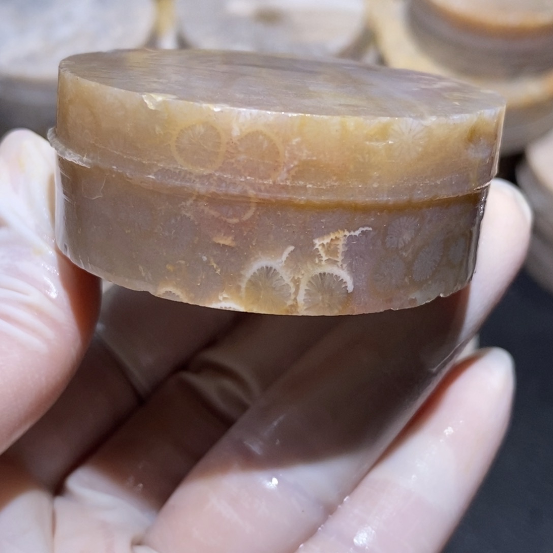 【闪购商品】硅化玉珊瑚玉未镶嵌