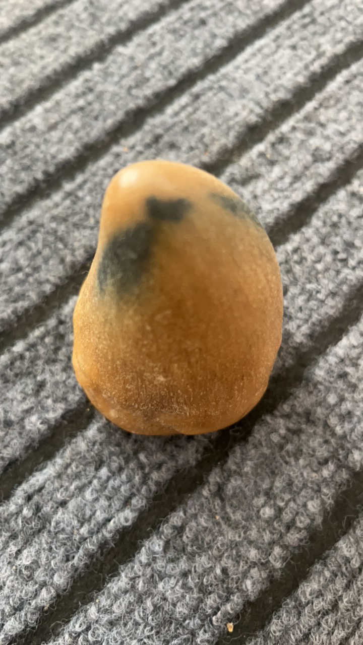 特色手工艺木制品X38