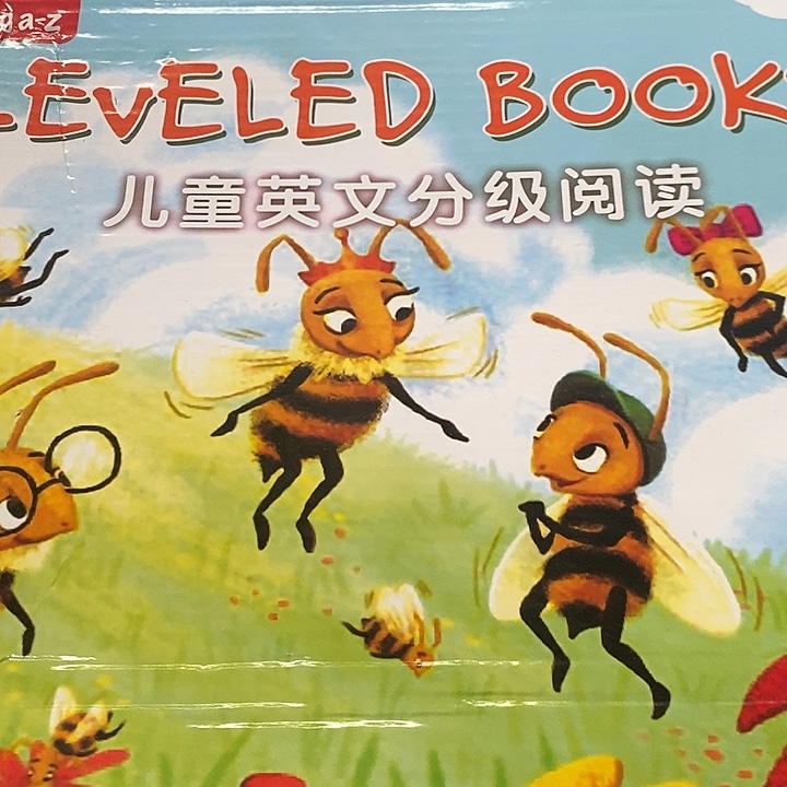 第一级级别儿童英文分级阅读，128克，盒子是破的