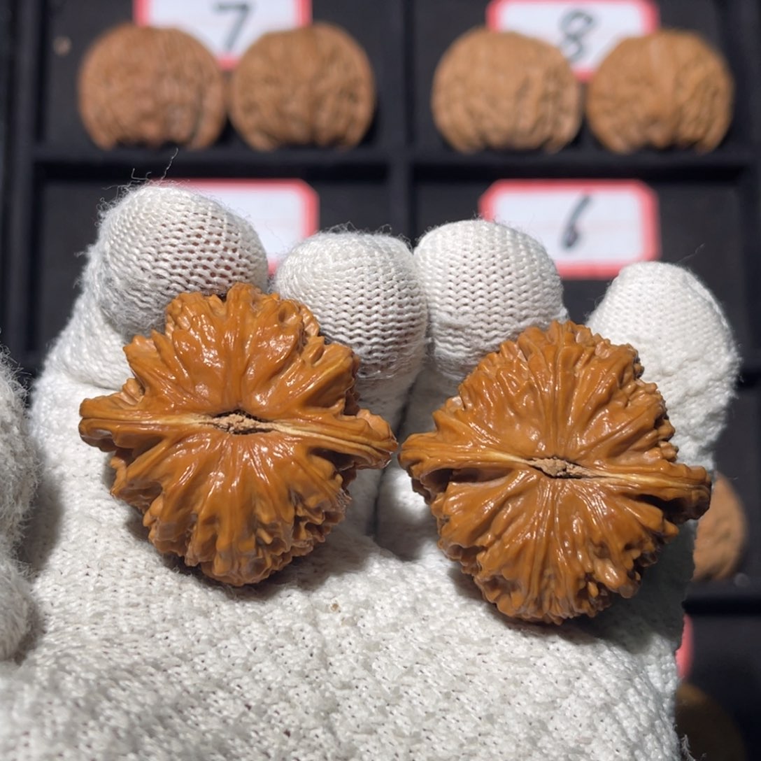 北***铭吊坠文玩核桃11秦皇岛山地果全品