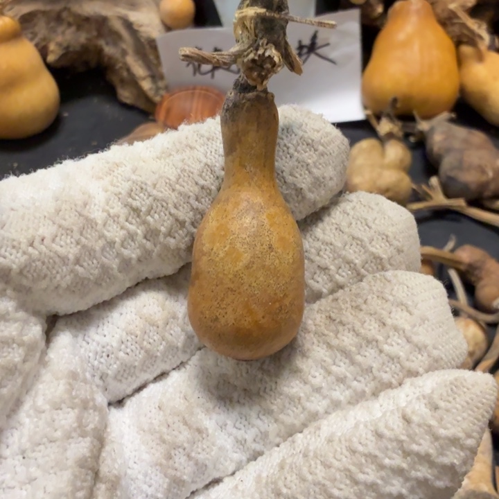 滨***址87666666666667777