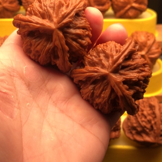 监***@核桃核桃咯核桃核桃