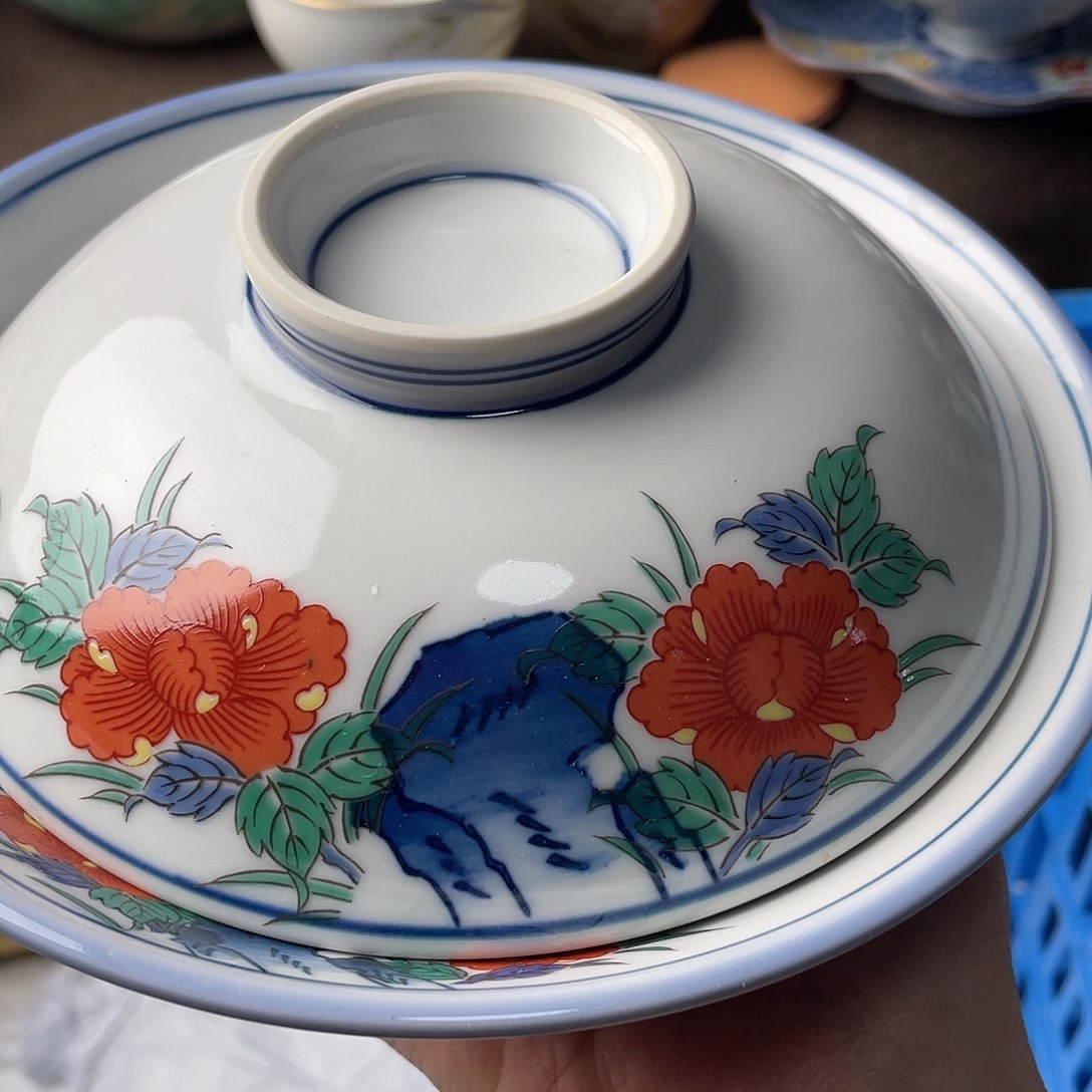 用***4瓷片我是一只小小鸟儿一只