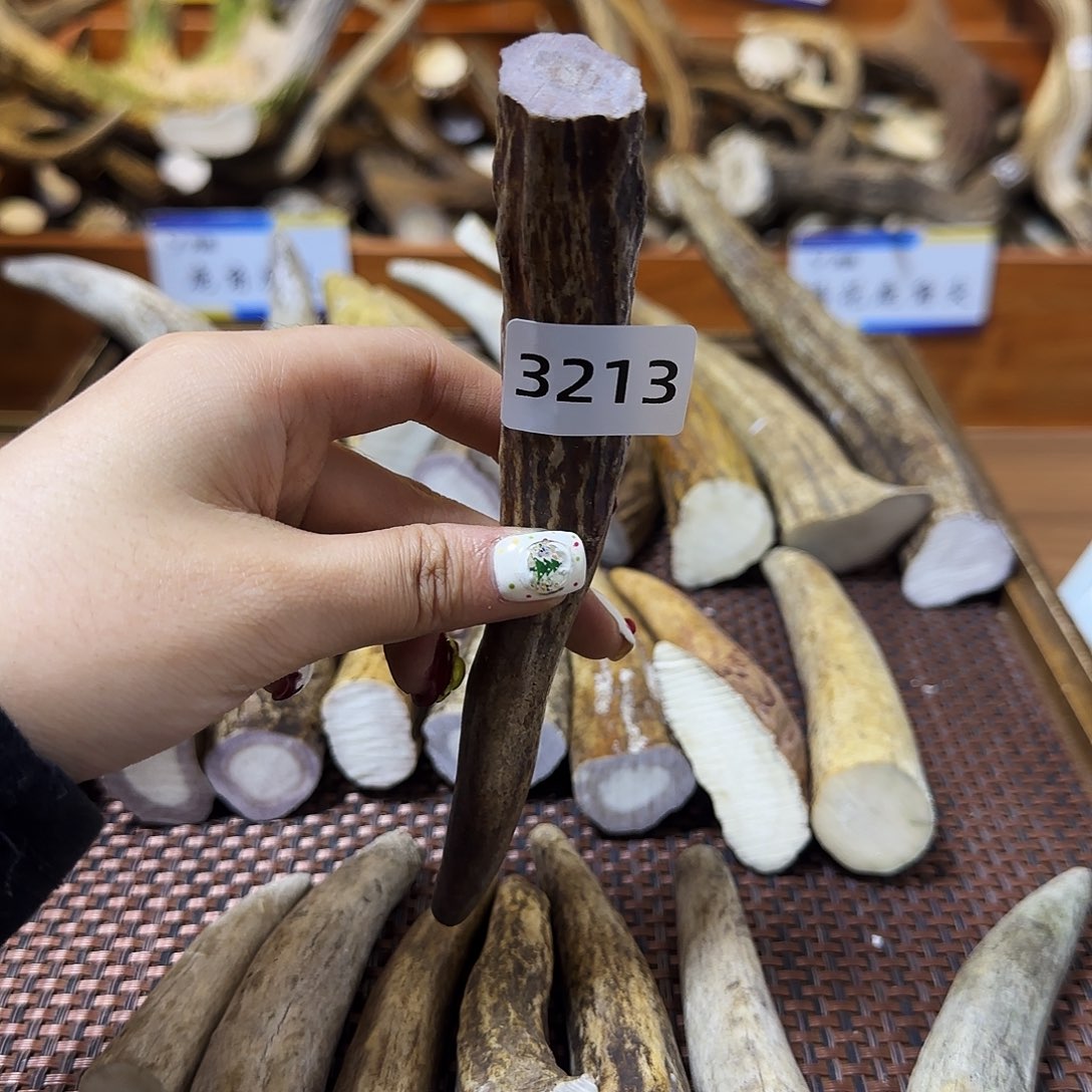 手串/手链鹿骨角尖3213