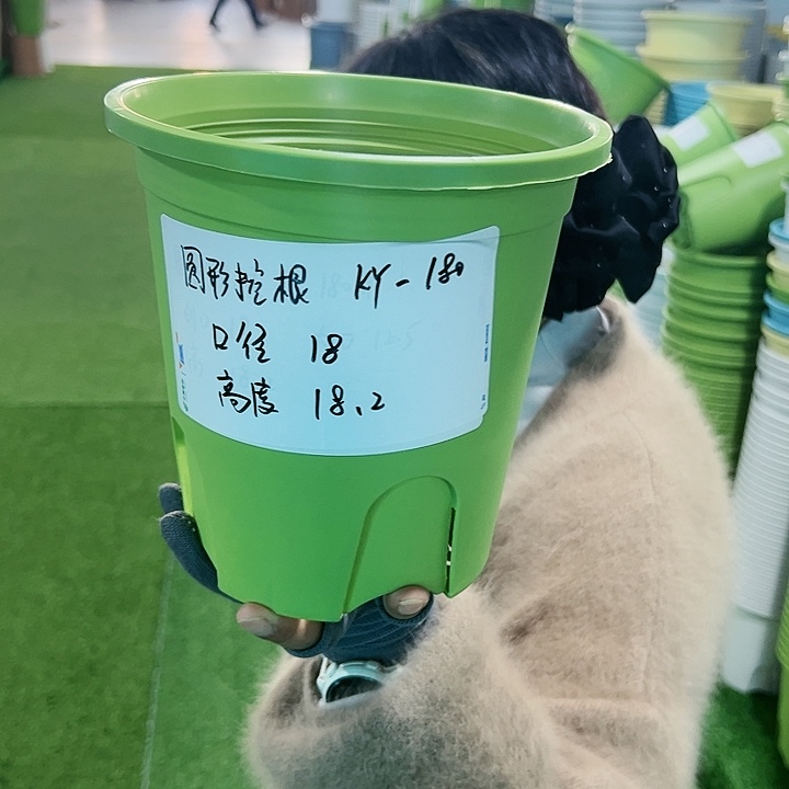 正品圆控口18高18果绿无托8只