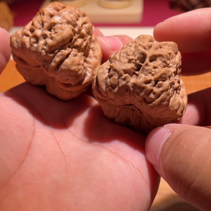 创***家核桃蛤蟆头文玩核桃B18