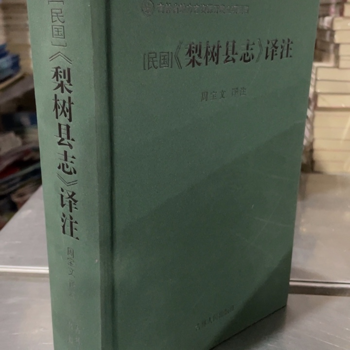 民国梨树县志精装
