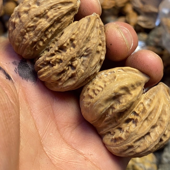 吊坠文玩核桃东北特产117