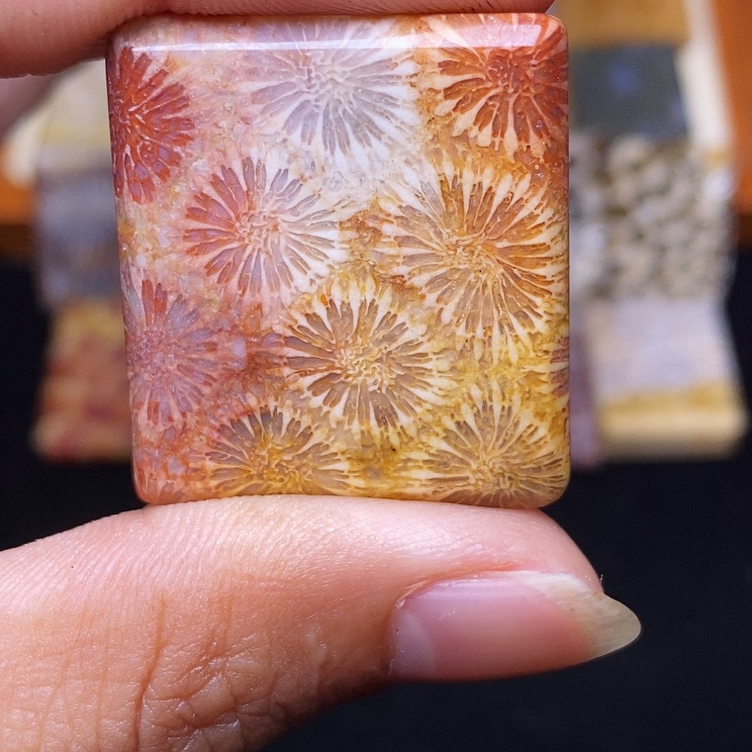 青***灯硅化玉合金珊瑚玉