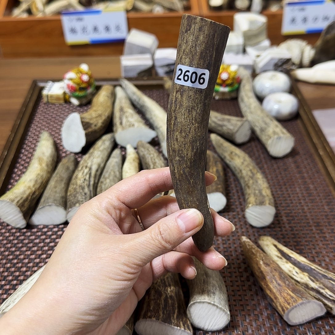 鹿骨手串/手链2606角尖