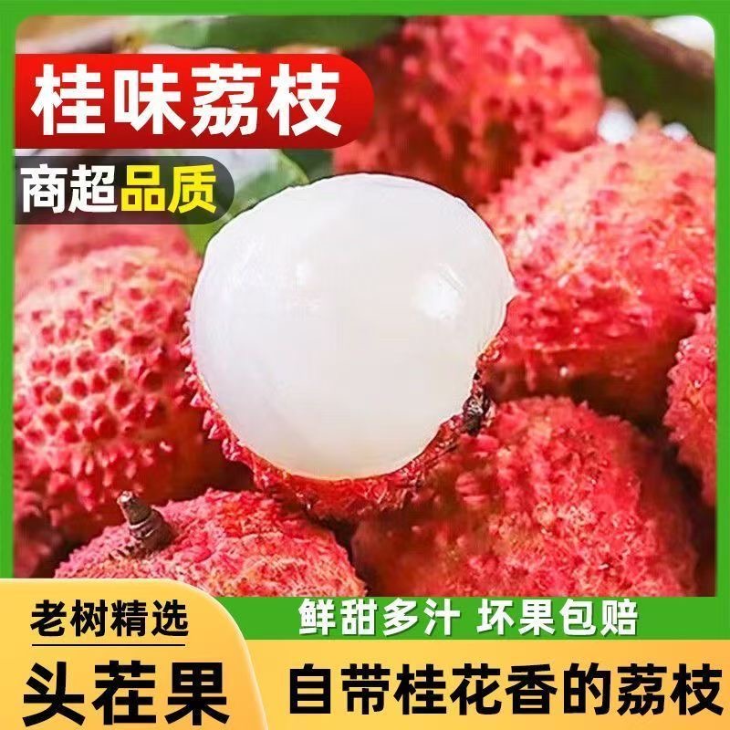 【顺丰次日达】广东桂味荔枝 头茬鲜果现摘新鲜不泡水 3斤/5斤装荔枝同城送