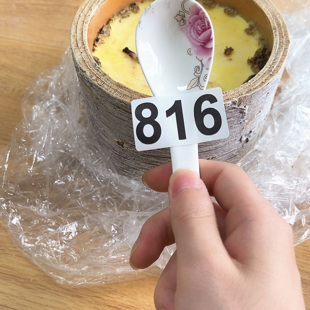 摆件……………………………………………………………………