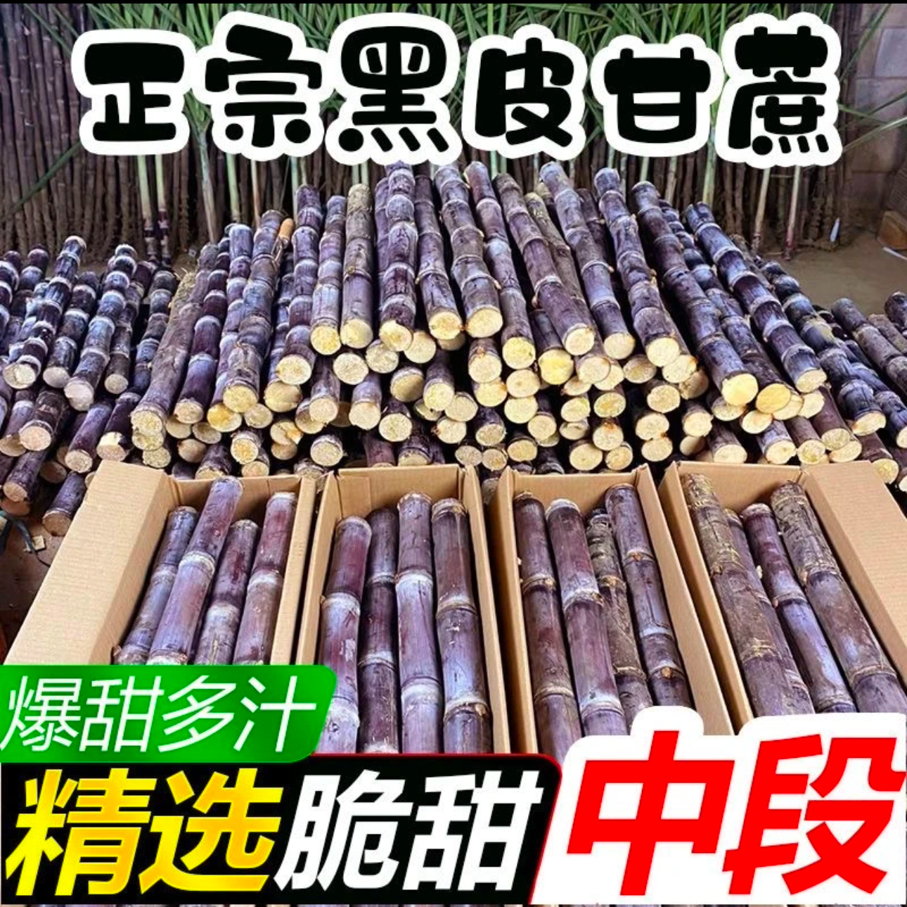 （糖糖专属）新疆包邮广西正宗黑皮甘蔗包甜