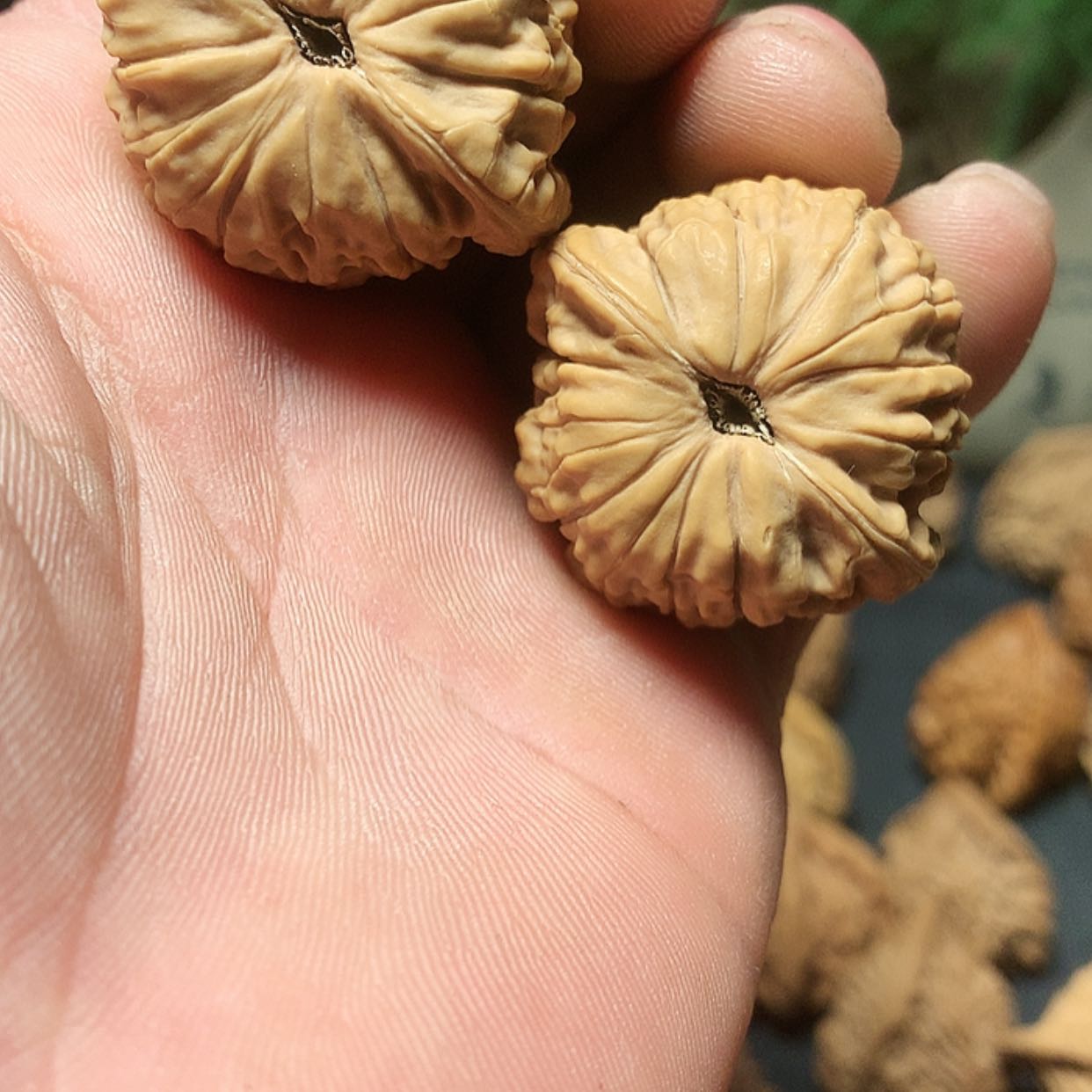 【闪购商品】文玩核桃把件八步沟小众野麻把件