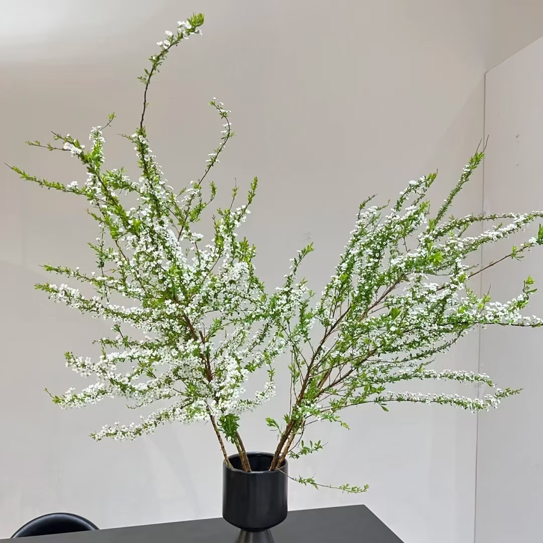 鲜枝雪柳花 爆花神器（已发货不支持退款）