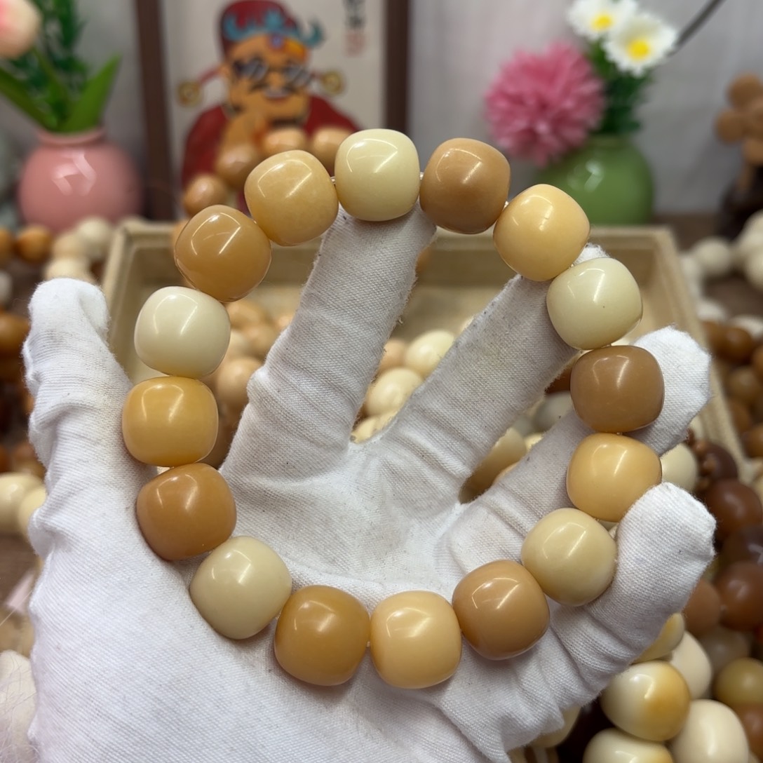 吊坠菩提根/象牙果17干磨瑕疵落地果126