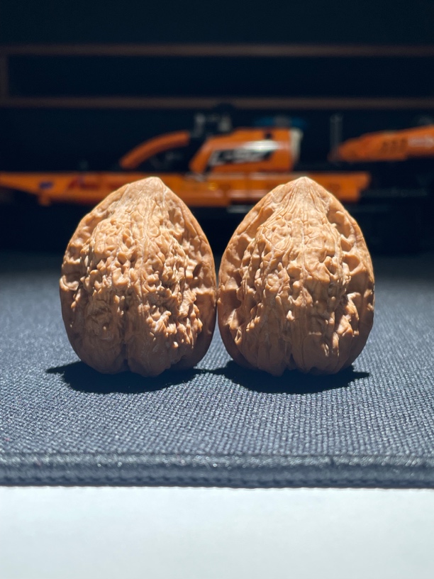 【正版平谷金钱豹】