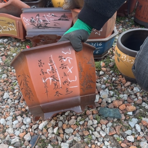 红陶紫砂花盆盆景盆栽