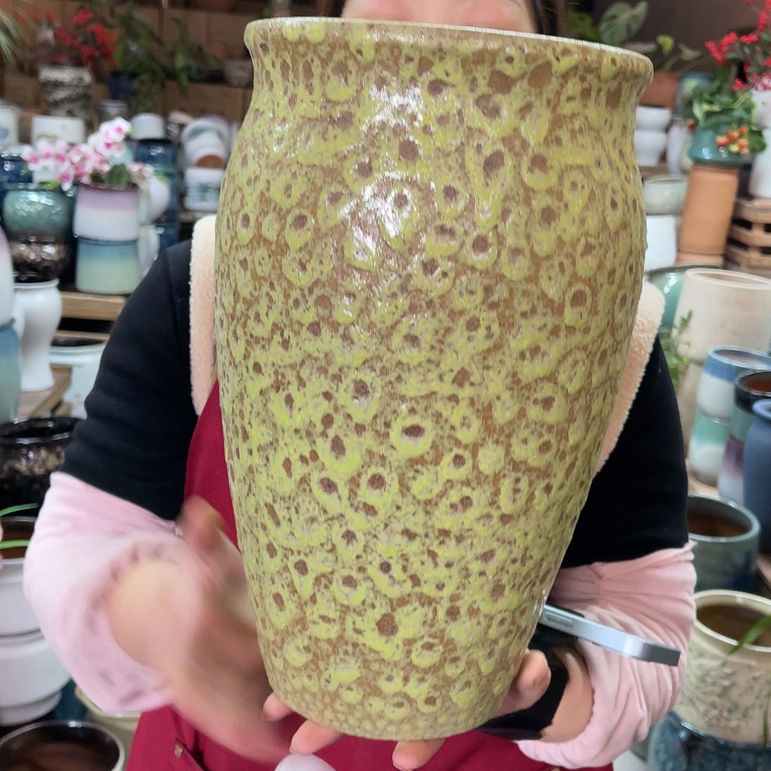 红陶高度33口径18