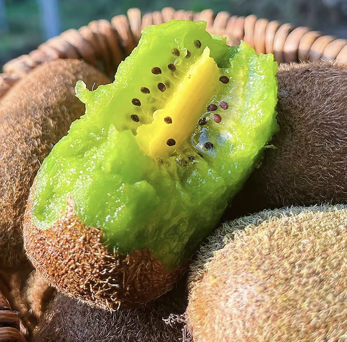 湖南湘西本地绿心贵长猕猴桃