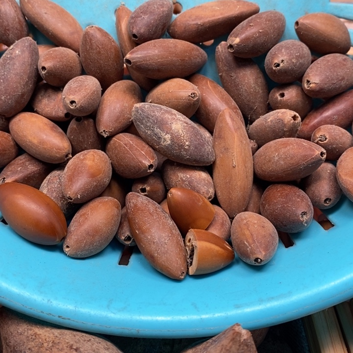 吊坠橄榄核点***8