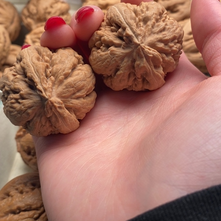 ****）把件文玩核桃霸王龙