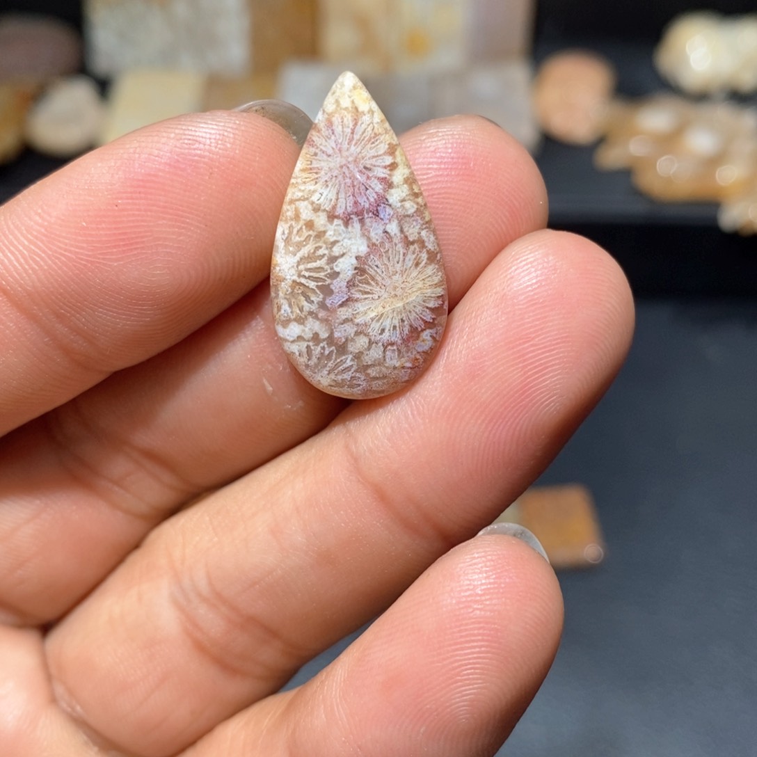 【闪购商品】硅化玉颈饰未镶嵌