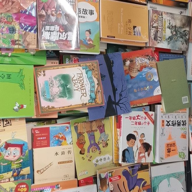 儿童文字盲盒 9.9元4本 可备注拼音或不带拼音