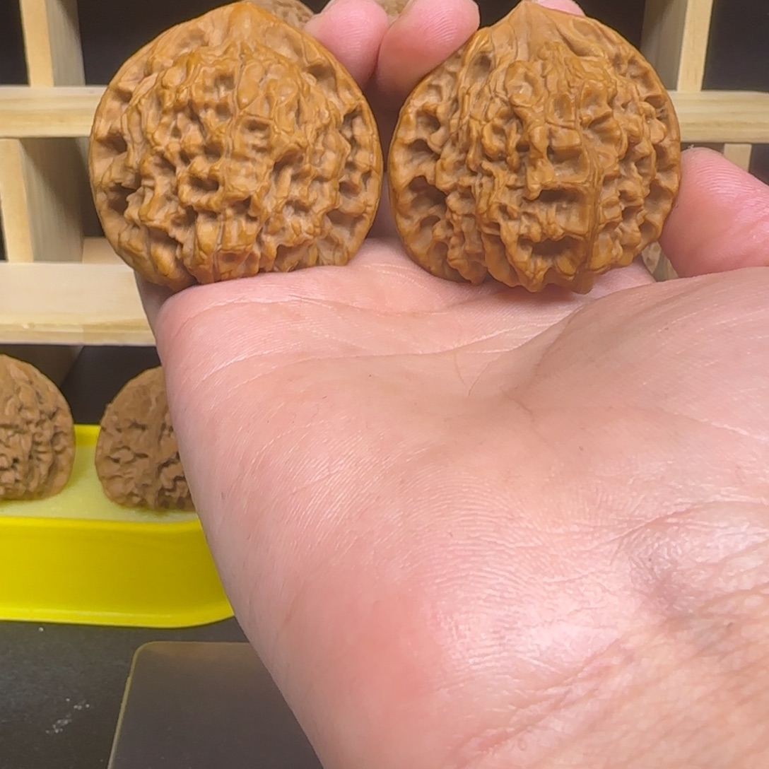 阳***蛰吊坠龙脊菩提官帽