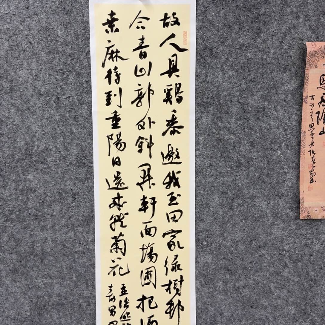 书法书法JSN老师书法作品