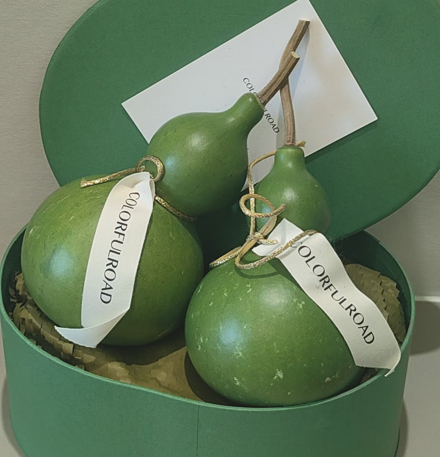 葫芦中式绿植刮皮变黄好养护花期长