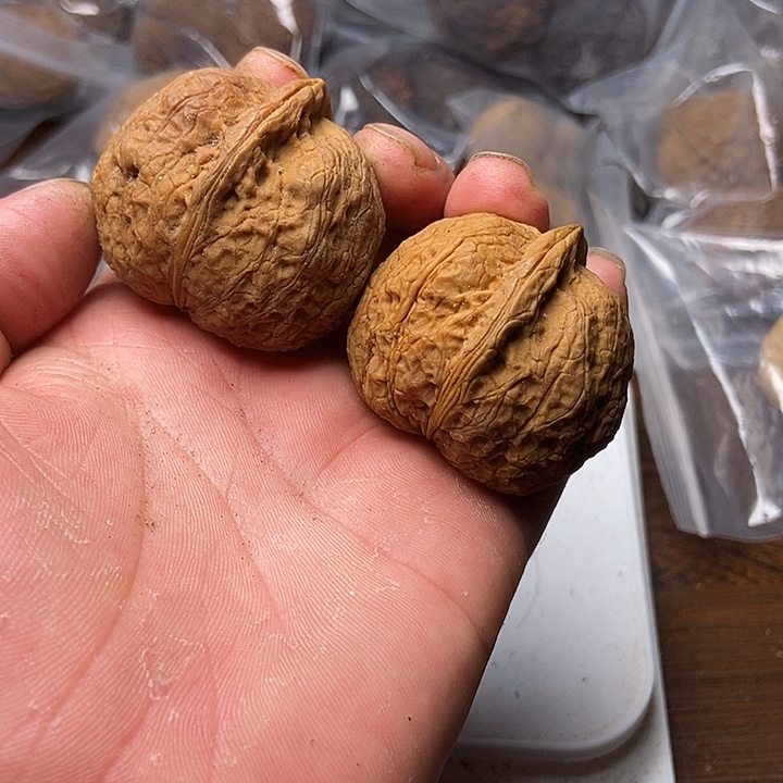 把件文玩核桃云南铁核桃炸福利直播间36号