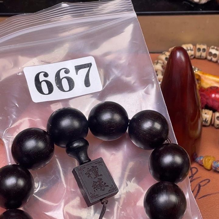 驼骨其他人工养殖