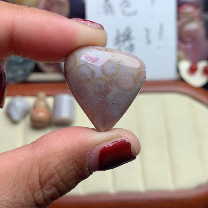 硅化珊瑚（珊瑚玉）颈饰未镶嵌