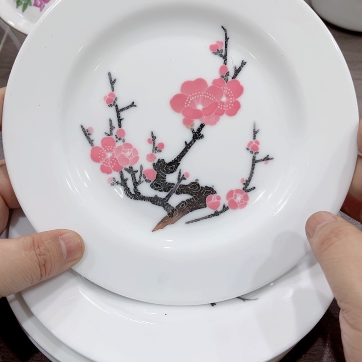 盘釉下五彩的瓷器和瓷器