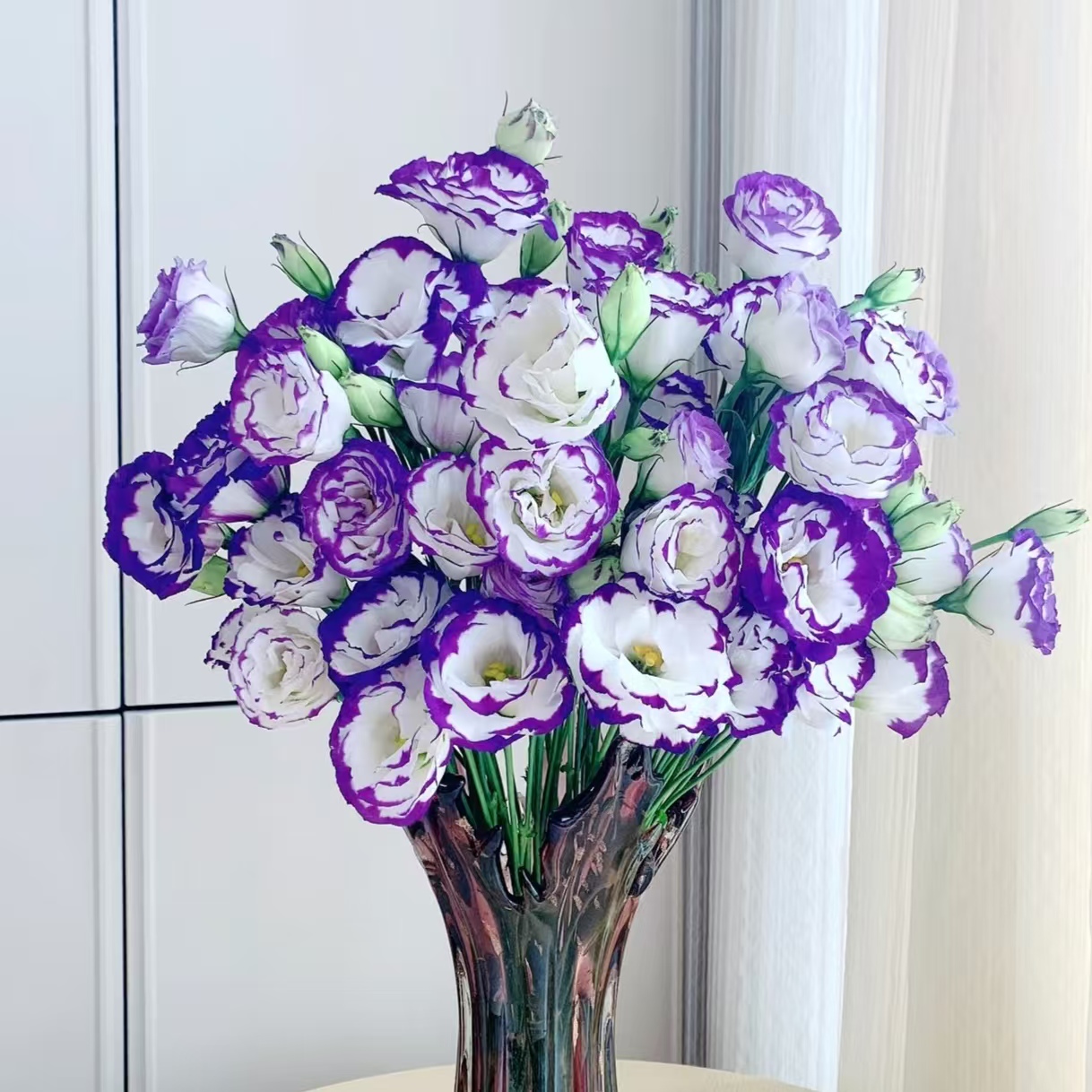 【洋桔梗】紫边紫洋桔梗 基地直发 |全场鲜花任意满2单及以上包邮