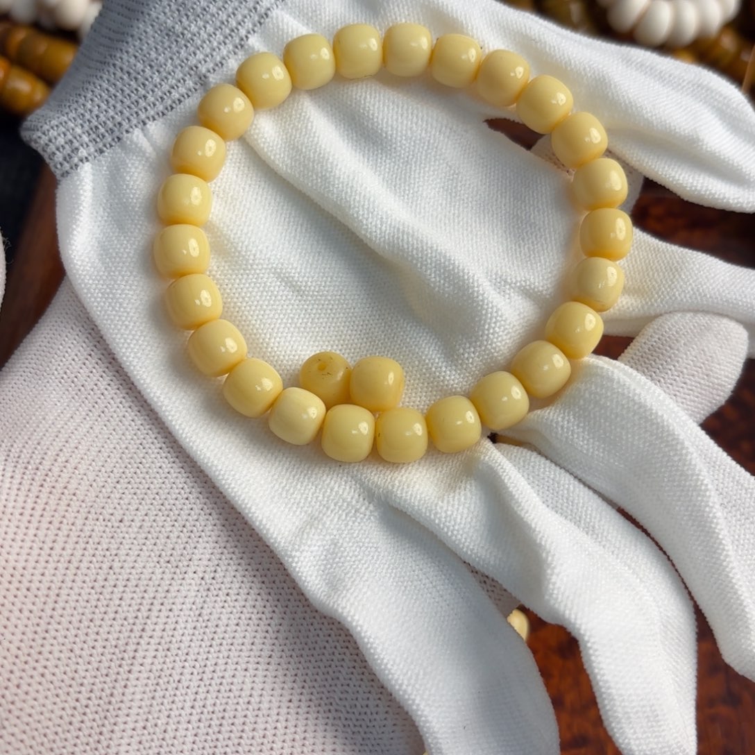 骆驼牙手串/手链骆驼牙