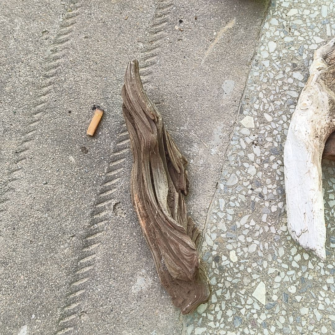 七***风柏木（崖柏）陈化崖柏毛料