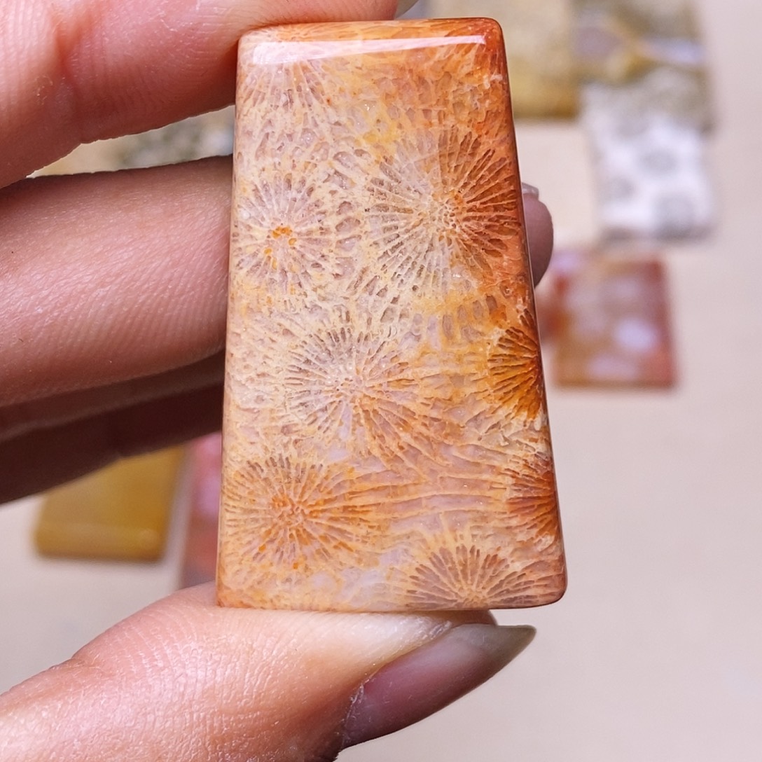 崂***宿硅化玉合金珊瑚玉