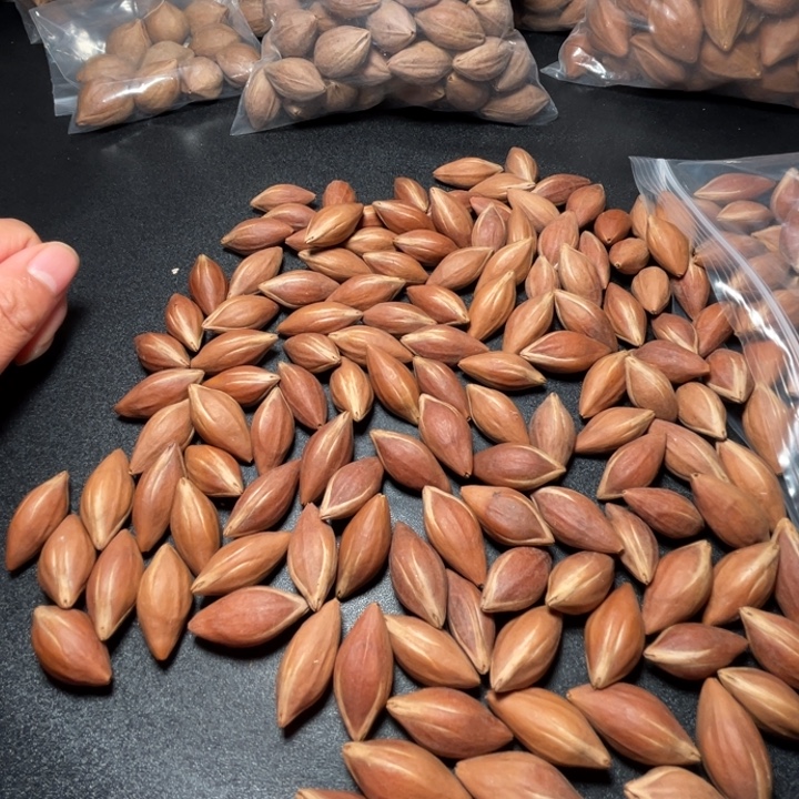 吉***里手串/手链猪牙我是