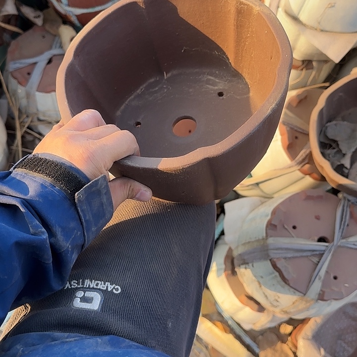 一次也不能多打个两万个啊这两人