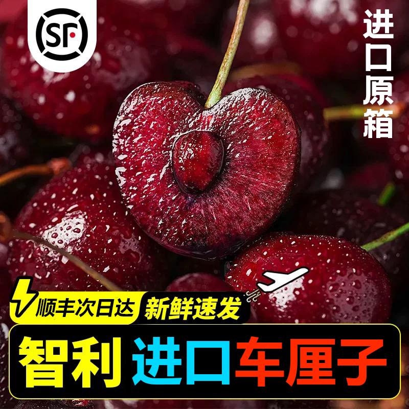 DP【顺丰次日达】2JD-4JDD加大加黑原箱五斤智利海运桑提娜车厘子新鲜当季水果内附果径卡桑提娜智利共和国