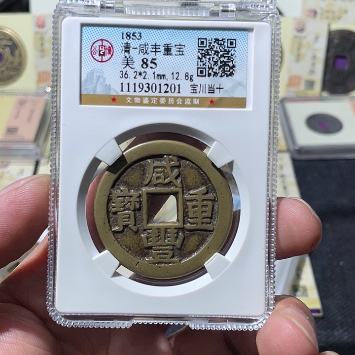 铜大宝精选，川十，评级尾号1201